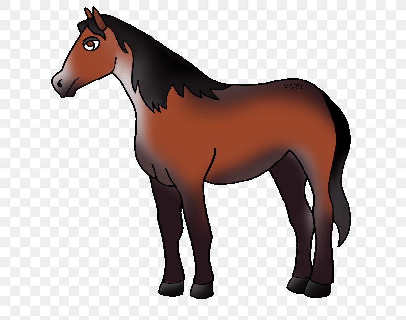 Nokota Horse United States Mule Clip Art, PNG, 639x648px, Nokota Horse, Animal Figure, Bridle, Colt, Donkey Download Free
