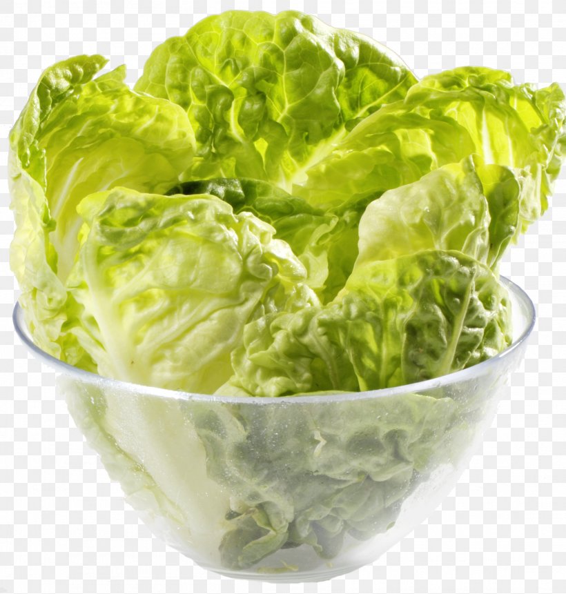Romaine Lettuce Salade Vegetarian Cuisine, PNG, 2211x2322px, Romaine Lettuce, Bowl, Cruciferous Vegetables, Dish, Food Download Free