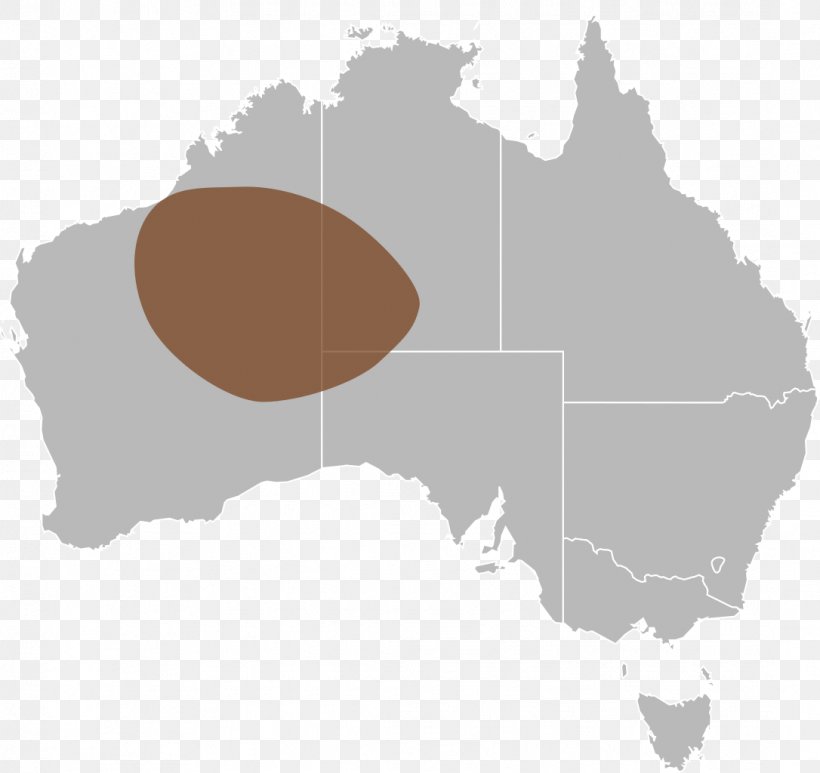Atlas / Australia Vector Graphics World Map Mangrove Creek, PNG, 1086x1024px, Atlas Australia, Atlas, Australia, Blank Map, Cartography Download Free