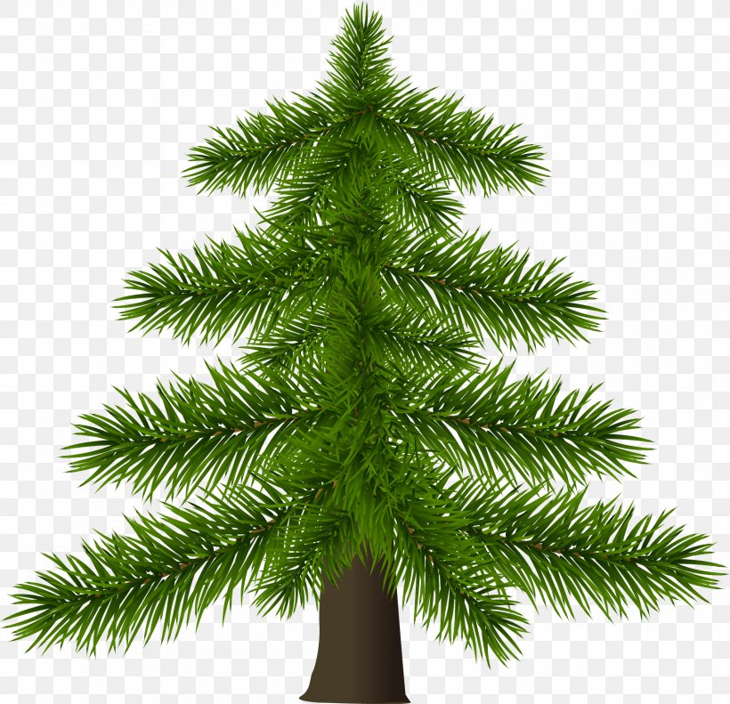 Christmas Tree Christmas Tree Pine, PNG, 1793x1730px, Tree, Balinese People, Branch, Cedar, Christmas Download Free