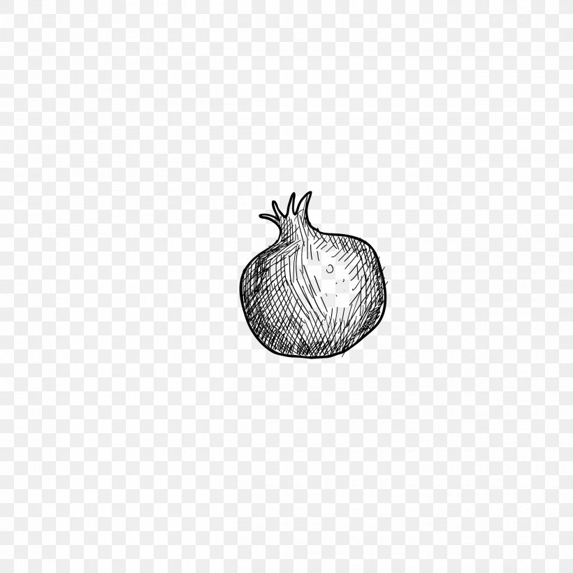 Pomegranate Fruit, PNG, 2500x2500px, Pomegranate, Auglis, Black And White, Fruit, Monochrome Download Free