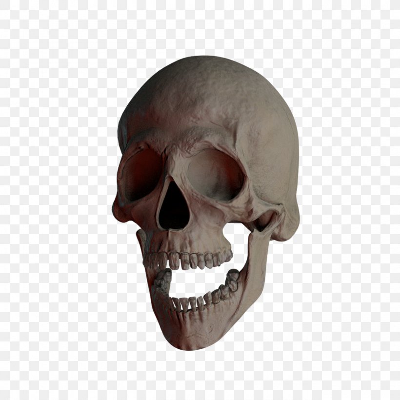 Skull And Crossbones Totenkopf 髑髏, PNG, 1280x1280px, Skull, Bone, Death, Head, Jaw Download Free