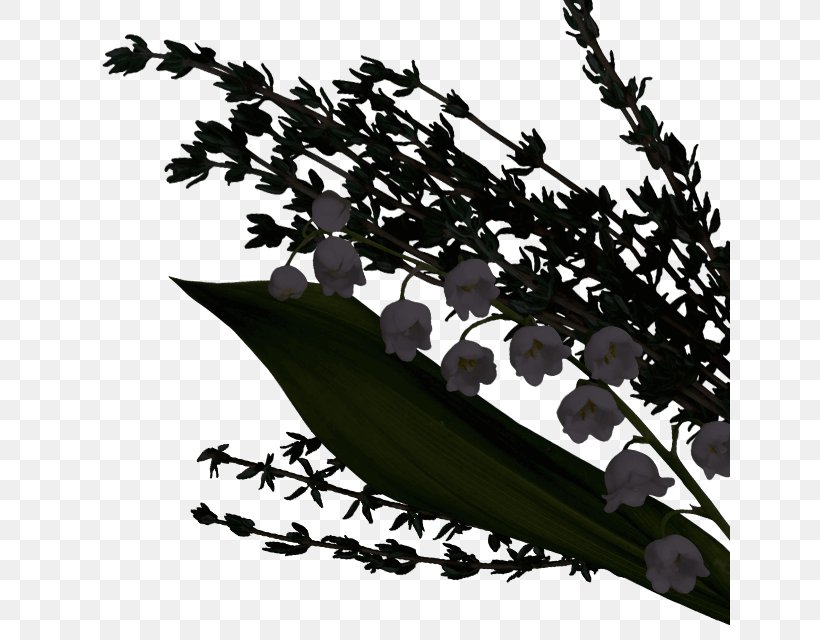 Twig Black & White, PNG, 640x640px, Twig, Black White M, Flower, Leaf, Plant Download Free