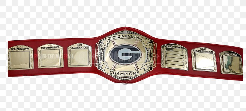 Championship Belt Professional Wrestling Championship, PNG, 800x371px, Watercolor, Cartoon, Flower, Frame, Heart Download Free