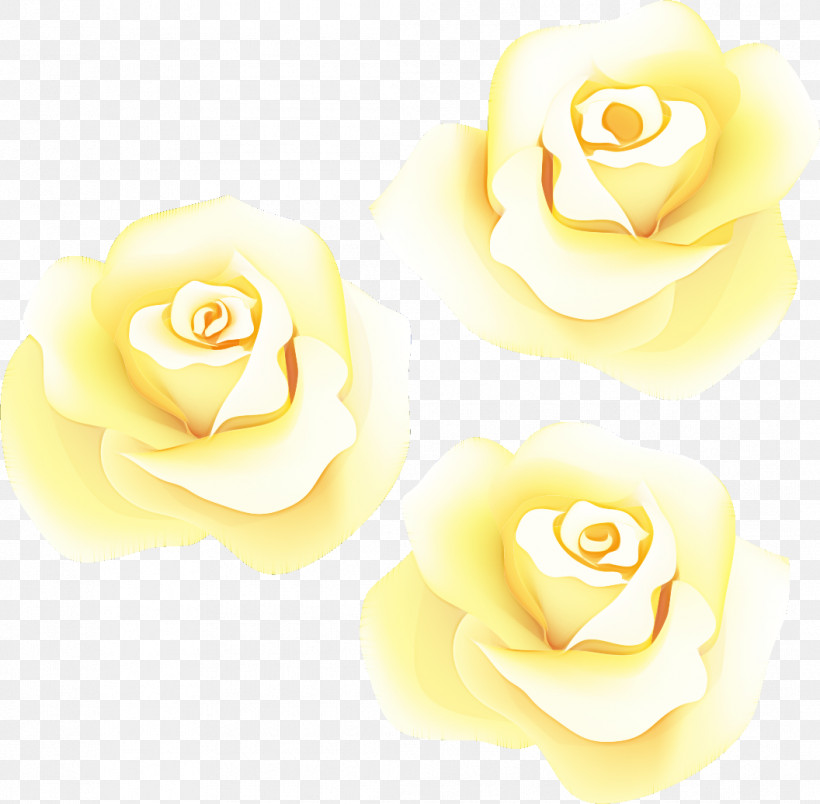 Three Flowers Three Roses Valentines Day, PNG, 1056x1036px, Three Flowers, Cut Flowers, Floribunda, Flower, Garden Roses Download Free