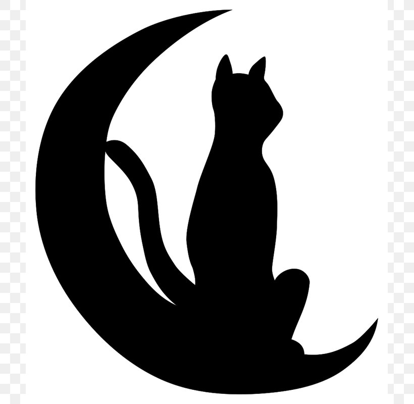 Black Cat Whiskers Silhouette Drawing, PNG, 800x800px, Black Cat, Black, Black And White, Carnivoran, Cat Download Free