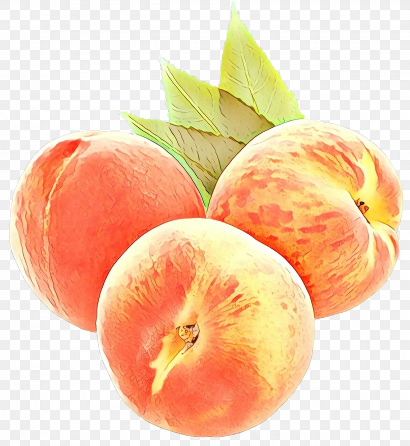 Fruit Cartoon, PNG, 2500x2720px, Fruit, Aesthetics, Apricot, Drupe, Food Download Free