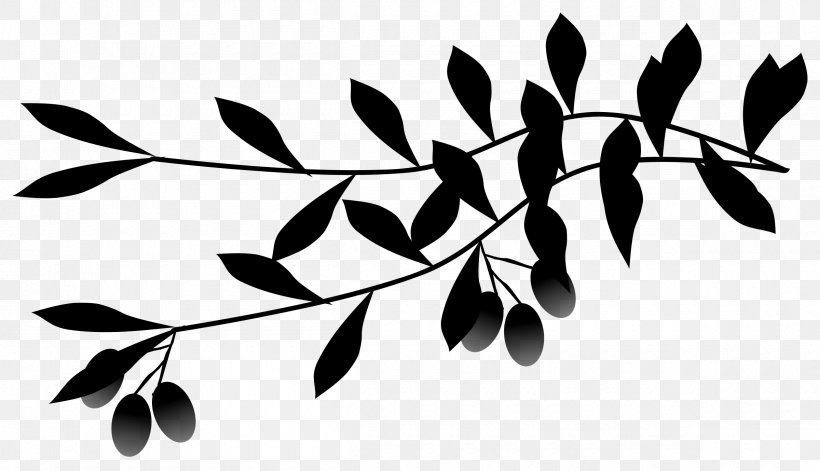 Plant Stem Clip Art Flowering Plant Pattern Fruit, PNG, 2400x1379px, Plant Stem, Blackandwhite, Botany, Branch, Flower Download Free