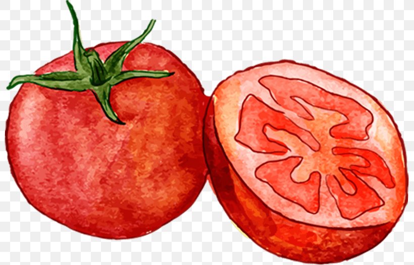 Tomato Health Food Fruit Salad, PNG, 801x526px, Tomato, Accessory Fruit, Alimento Saludable, Apple, Diet Download Free