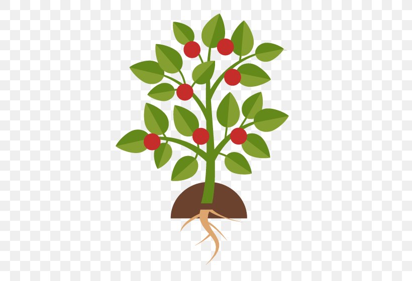 Tree Planting Sowing Infographic, PNG, 555x560px, Tree Planting, Branch, Flat Design, Flower, Flowering Plant Download Free