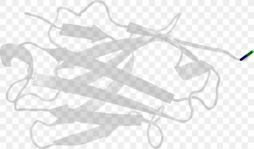 White Clip Art, PNG, 852x500px, White, Black And White, Branch, Hand, Line Art Download Free