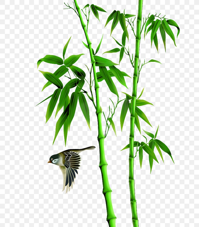Bamboo Bird-and-flower Painting Icon, PNG, 662x936px, Bamboo, Birdandflower Painting, Branch, Chinese Painting, Flowerpot Download Free
