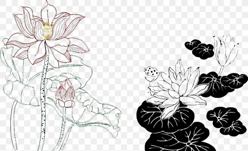 Black And White Nelumbo Nucifera Ink Wash Painting, PNG, 1024x628px, Black And White, Art, Artwork, Cut Flowers, Drawing Download Free