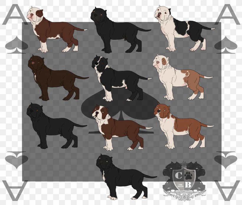 Dog Breed Sporting Group, PNG, 2000x1700px, Dog Breed, Breed, Carnivoran, Dog, Dog Breed Group Download Free