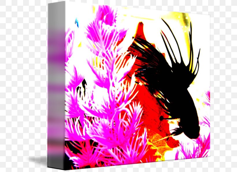 Graphic Design Desktop Wallpaper Pink M, PNG, 650x595px, Pink M, Art, Computer, Feather, Flower Download Free