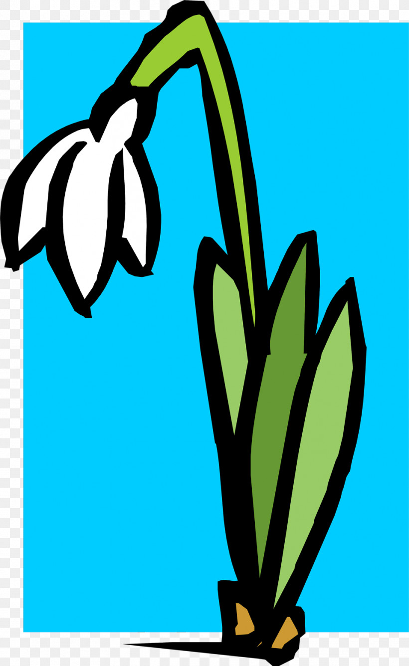 Plant Flower, PNG, 958x1563px, Plant, Flower Download Free