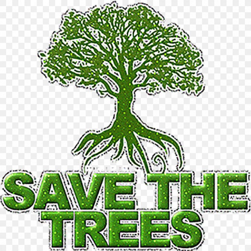 Tree Planting Natural Environment Billion Tree Campaign Essay, PNG, 1000x1000px, Tree, Arbor Day, Archaeopteris, Billion Tree Campaign, Essay Download Free