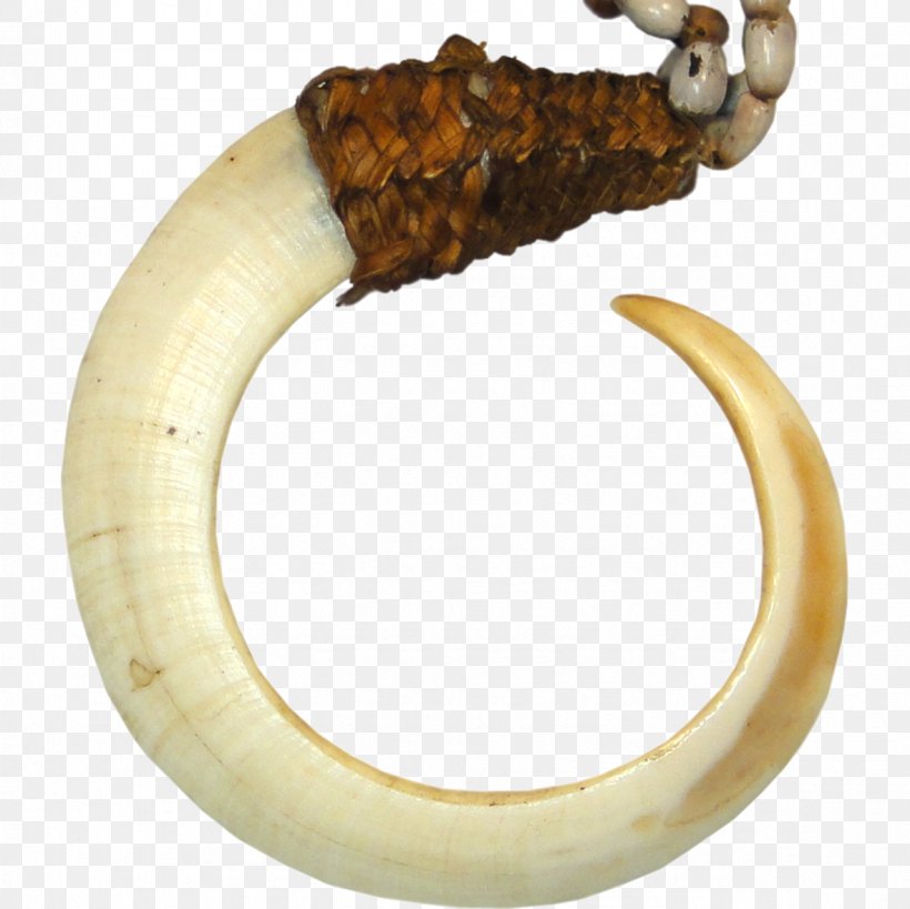 Wild Boar Papua New Guinea Tusk, PNG, 1181x1181px, Wild Boar, Bangle, Body Jewelry, Elephant, Fang Download Free