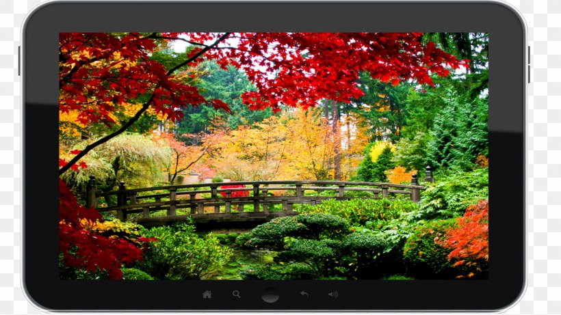 Desktop Wallpaper Nature Stock Photography Landscape, PNG, 1280x720px, Nature, Autumn, Flora, Flower, Flowering Plant Download Free