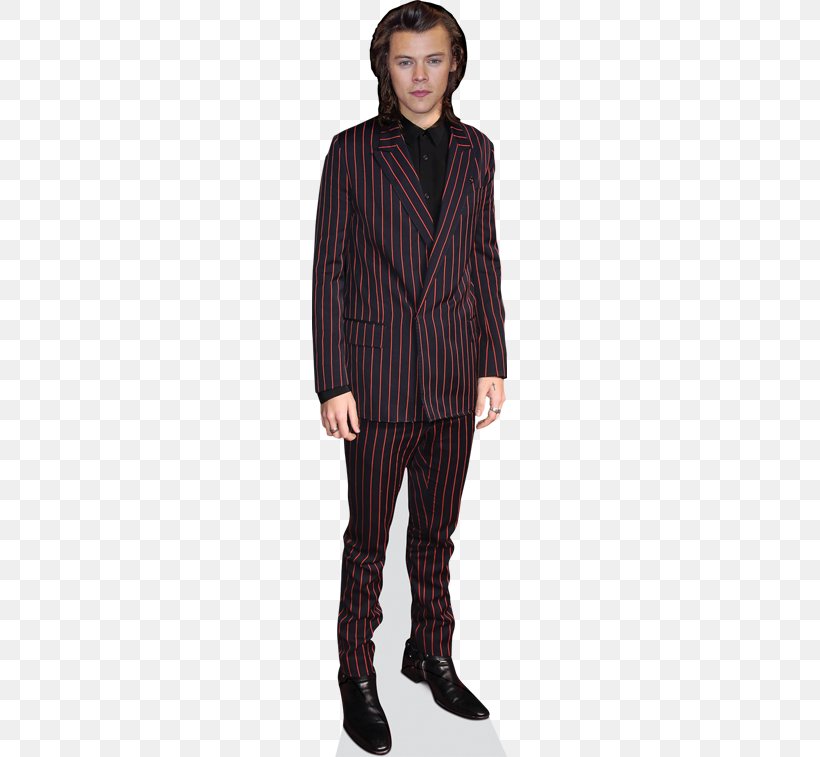 Harry Styles Standee Poster Celebrity Paperboard, PNG, 363x757px, Harry Styles, Celebrity, Costume, Ebay, Fashion Model Download Free