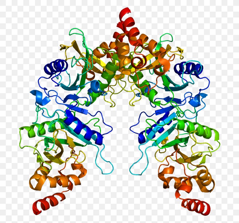 SUFU Protein GLI3 Alanine Transaminase Hedgehog Signaling Pathway, PNG, 742x766px, Watercolor, Cartoon, Flower, Frame, Heart Download Free