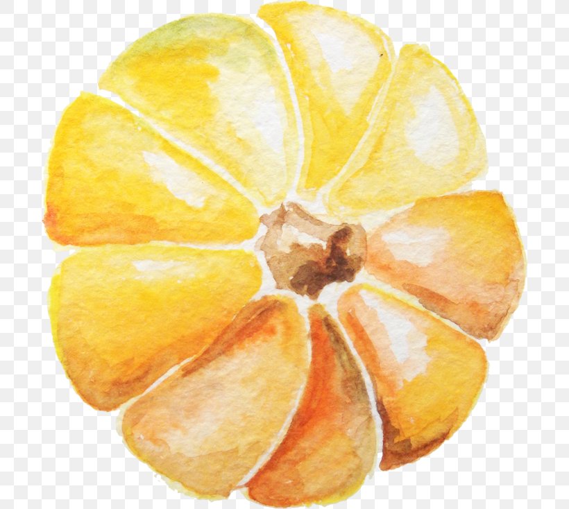 Watercolor: Flowers Watercolor Painting Pumpkin, PNG, 700x734px, Watercolor Flowers, Citrus, Food, Fruit, Gratis Download Free