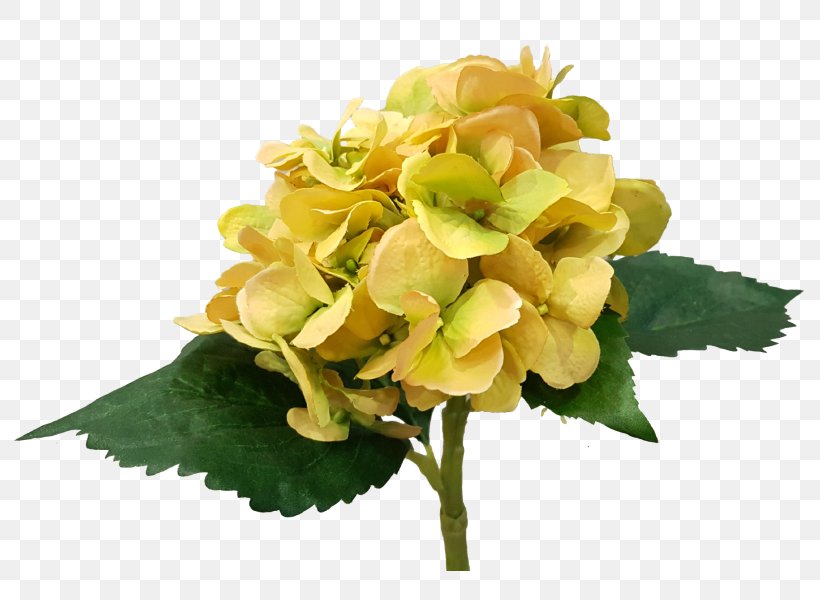 Artificial Flower Cut Flowers Flower Bouquet Hydrangea, PNG, 800x600px, Flower, Artificial Flower, Australia, Cornales, Cut Flowers Download Free