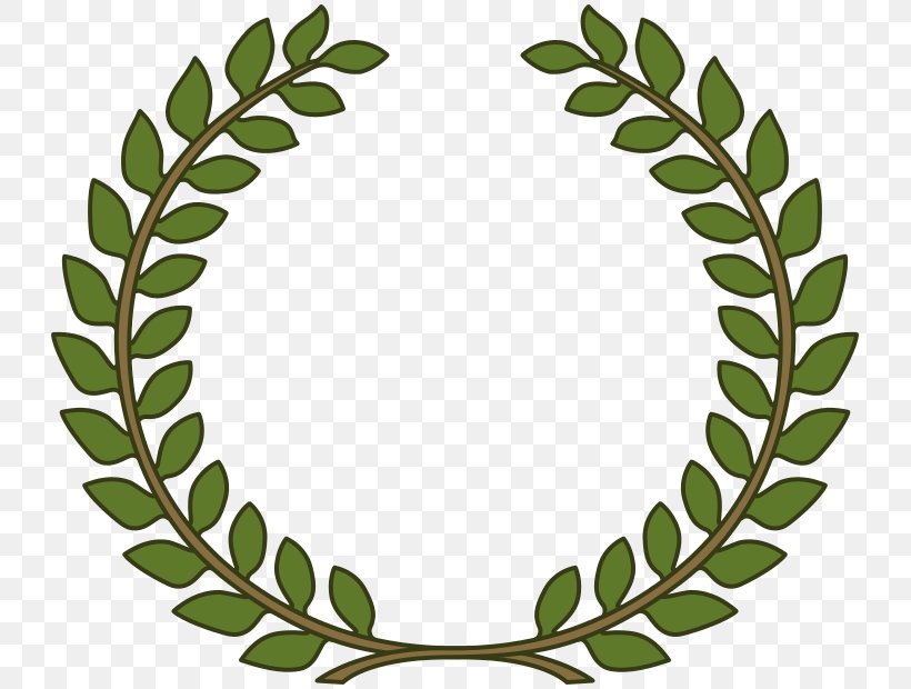Bay Laurel Laurel Wreath Olive Wreath Clip Art, PNG, 735x620px, Bay Laurel, Branch, Crown, Flower, Gold Download Free