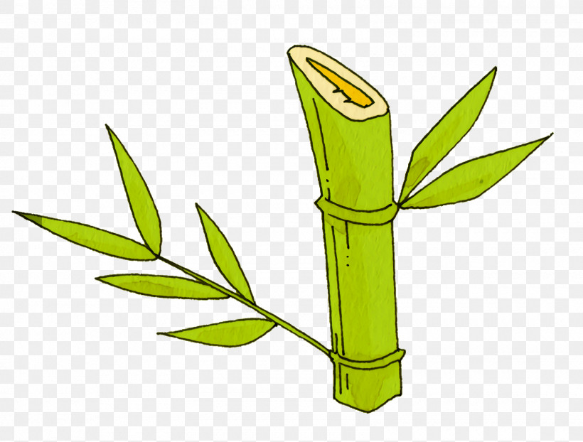 Leaf Plant Stem Grasses Herbal Medicine Plants, PNG, 1600x1214px, Leaf, Biology, Grasses, Herbal Medicine, Plant Stem Download Free