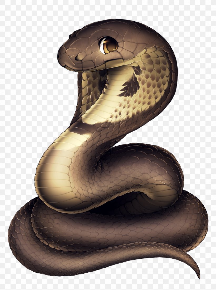 Snakes Cobras Reptile, PNG, 1578x2121px, Snakes, Ball Python, Black Mamba, Cobra, Cobras Download Free