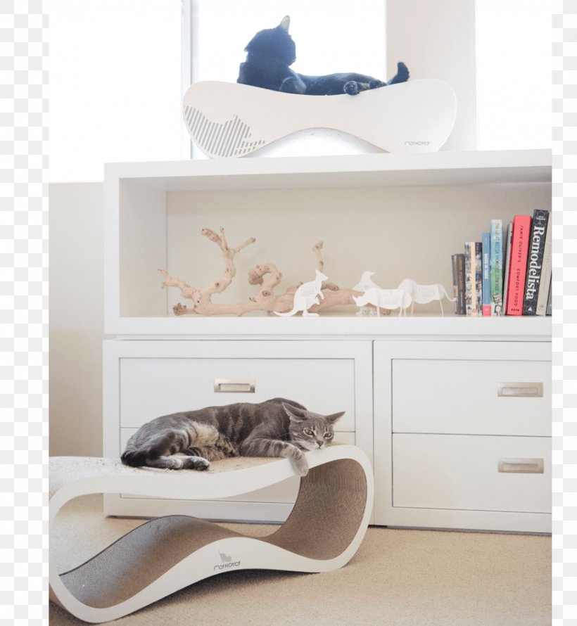 Cat Tree Shelf Scratching Post Cat Litter Trays, PNG, 875x950px, Cat, Bed, Big Cat, Box, Cat Litter Trays Download Free