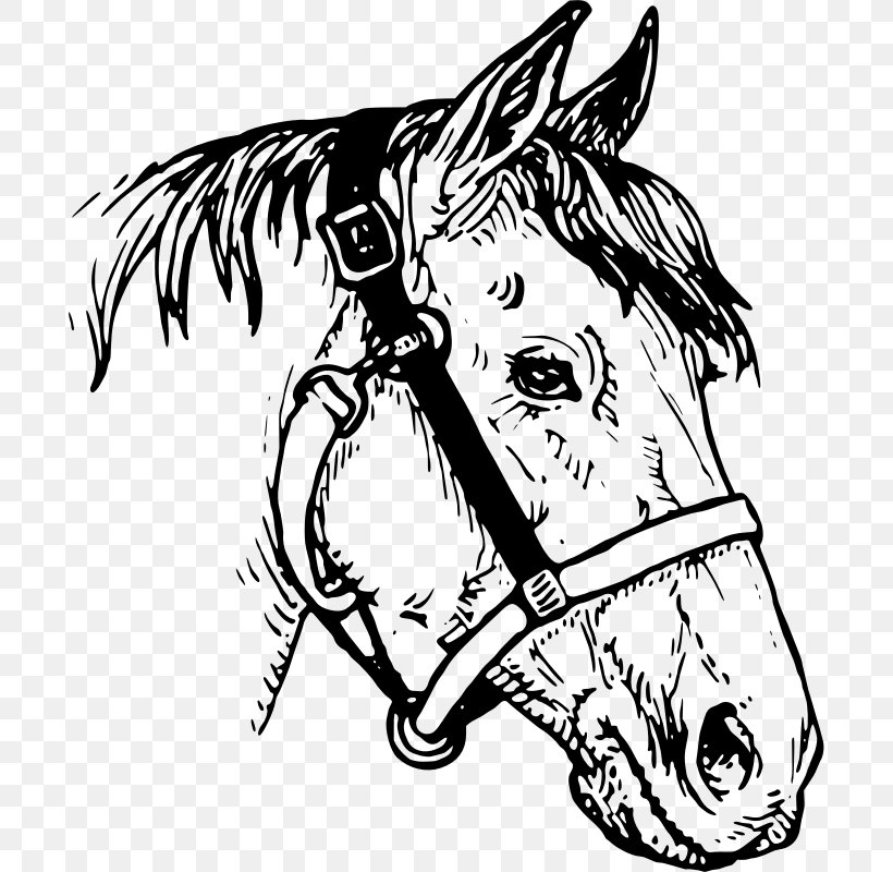 Horse Drawing Clip Art, PNG, 694x800px, Horse, Art, Artwork, Black, Black And White Download Free