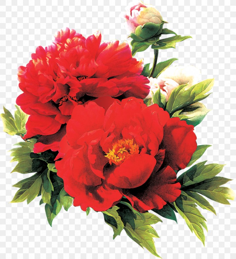 Moutan Peony Red, PNG, 874x960px, Moutan Peony, Annual Plant, Artificial Flower, Carnation, Cut Flowers Download Free