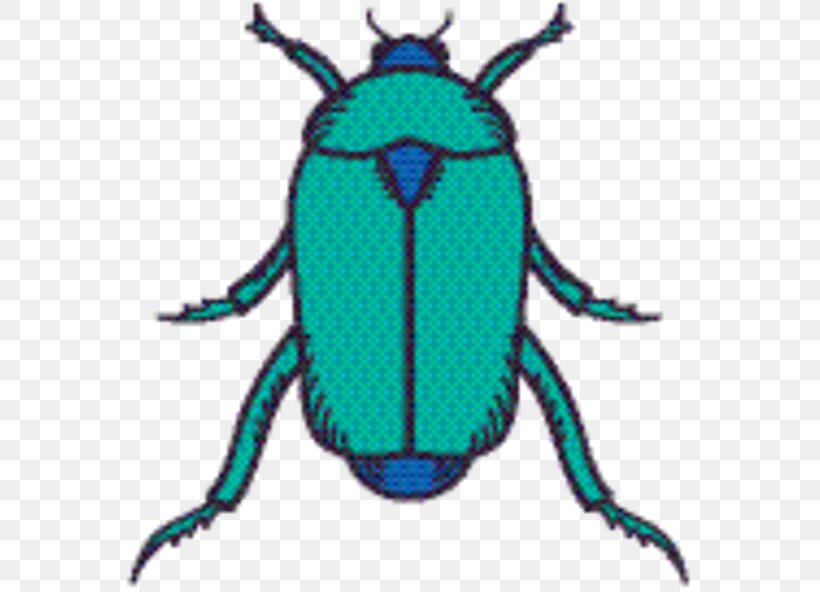 Weevil Insect, PNG, 580x592px, Weevil, Arthropod, Beetle, Blister Beetles, Cetoniidae Download Free