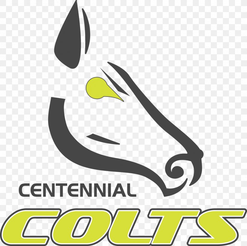 Centennial College Indianapolis Colts Tallahassee Community College Coach, PNG, 1298x1293px, Centennial College, Alumnus, Area, Artwork, Brand Download Free