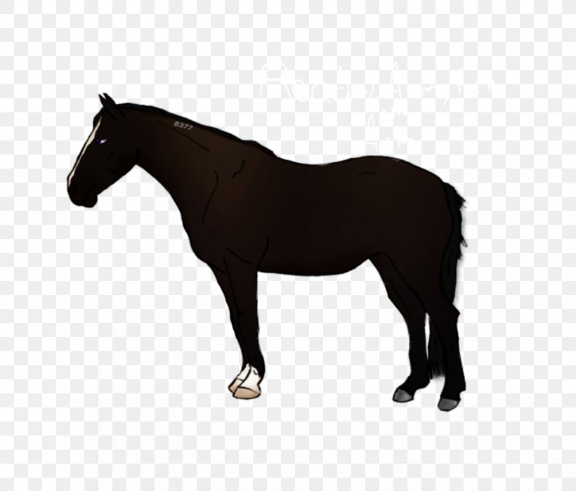 Horse Blanket Foal, PNG, 968x826px, Horse, Animal Figure, Black, Bridle, Carriage Download Free