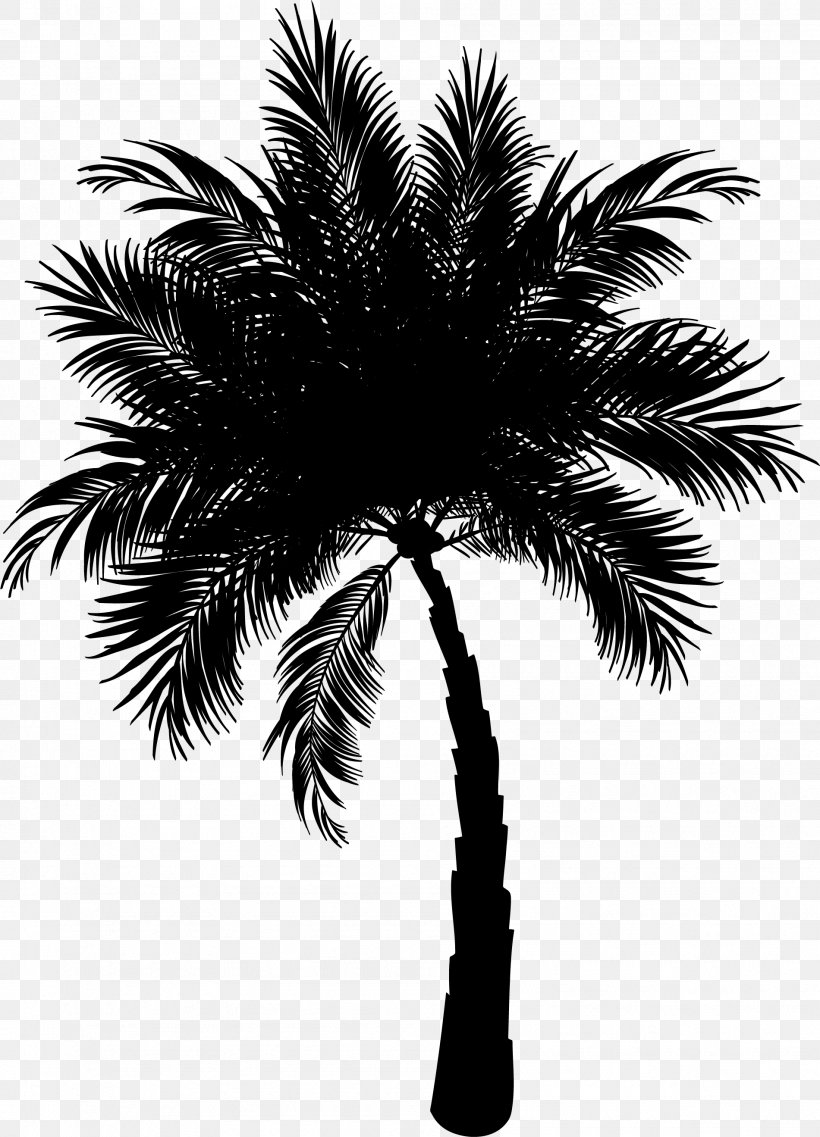 Palm Trees Asian Palmyra Palm Date Palm Coconut Clip Art, PNG, 1901x2638px, Palm Trees, Arecales, Asian Palmyra Palm, Attalea Speciosa, Blackandwhite Download Free