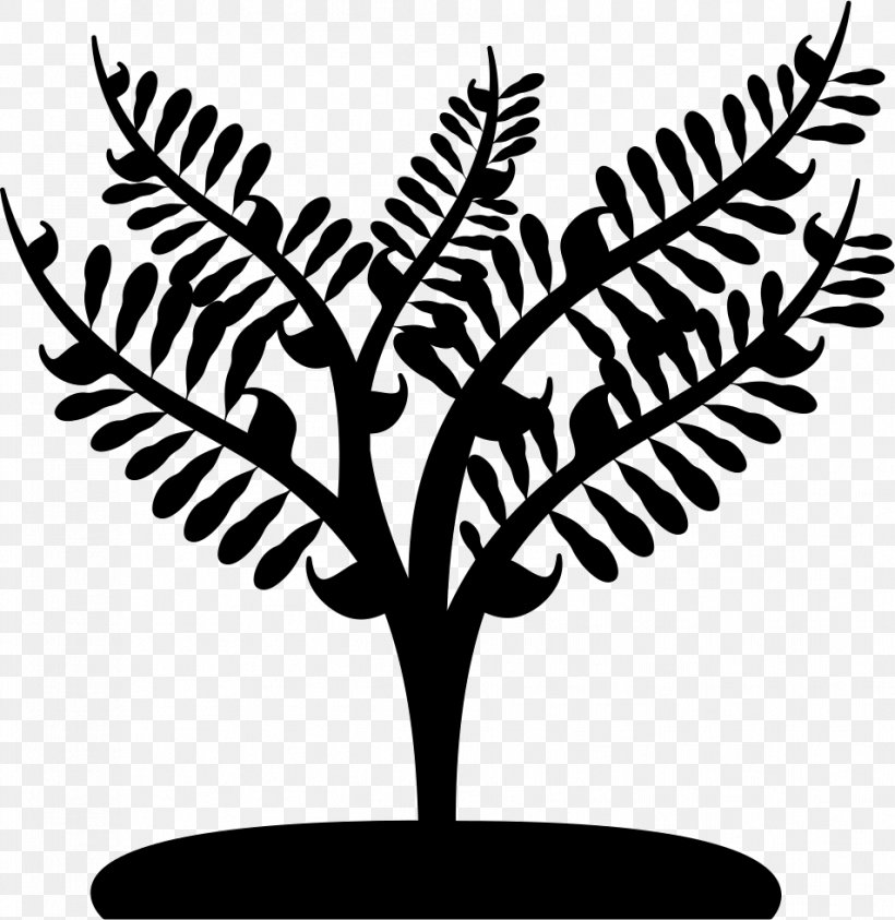Clip Art Fruit Tree, PNG, 954x981px, Tree, Blackandwhite, Botany, Branch, Fern Download Free