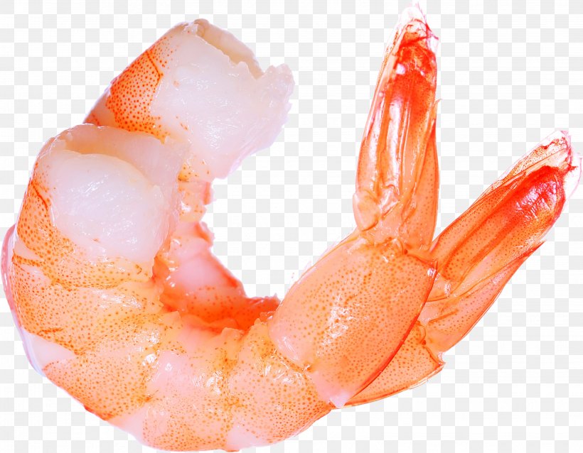 Prawn Cocktail Shrimp Lobster Seafood, PNG, 3094x2410px, Vietnamese Cuisine, Animal Source Foods, Caridean Shrimp, Decapoda, Dendrobranchiata Download Free
