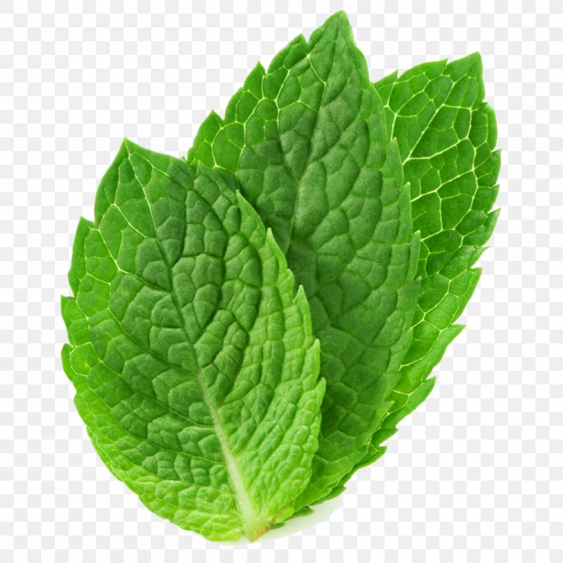 Tea Peppermint Mentha Spicata Mentha Arvensis Leaf, PNG, 1000x1000px, Peppermint, Breathing, Essential Oil, Extract, Herb Download Free