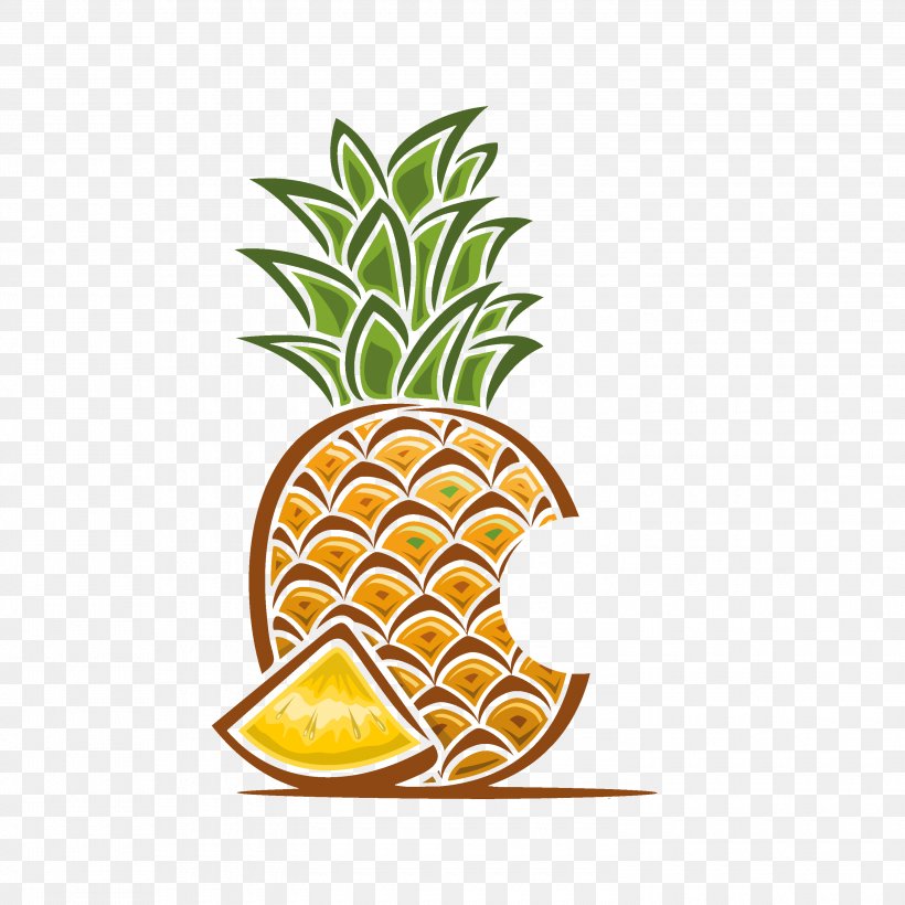 Vector Graphics Illustration Royalty-free Stock Photography Clip Art, PNG, 3000x3000px, Royaltyfree, Ananas, Bromeliaceae, Citrus, Drawing Download Free