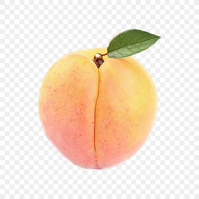 Apple Tree, PNG, 1773x1773px, Peach, Apple, Apricot, European Plum, Food Download Free