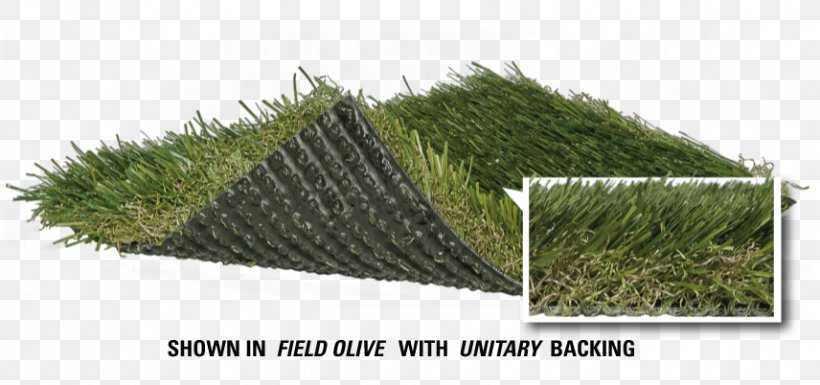 Artificial Turf Lawn Sod Athletics Field Football Pitch, PNG, 856x402px, Artificial Turf, Athletics Field, Baseball, Football, Football Pitch Download Free