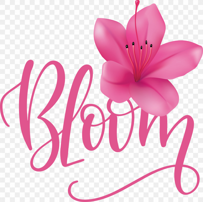 Bloom Spring, PNG, 3000x2997px, Bloom, Content, Cut Flowers, Data, Petal Download Free
