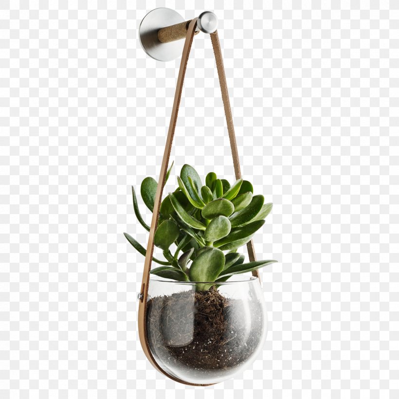Flowerpot Holmegaard Interior Design Services Glass, PNG, 1200x1200px, Flowerpot, Flower, Glass, Greenhouse, Hanging Download Free