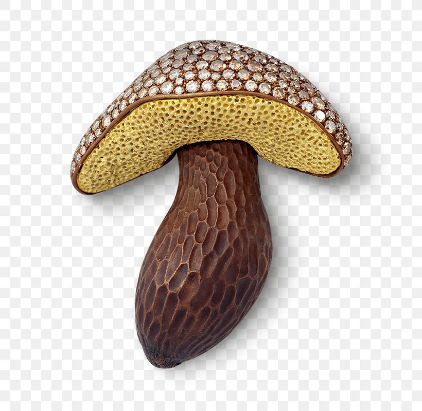 Mushroom Cartoon, PNG, 800x800px, Mushroom, Agaric, Agaricaceae, Agaricus, Bolete Download Free
