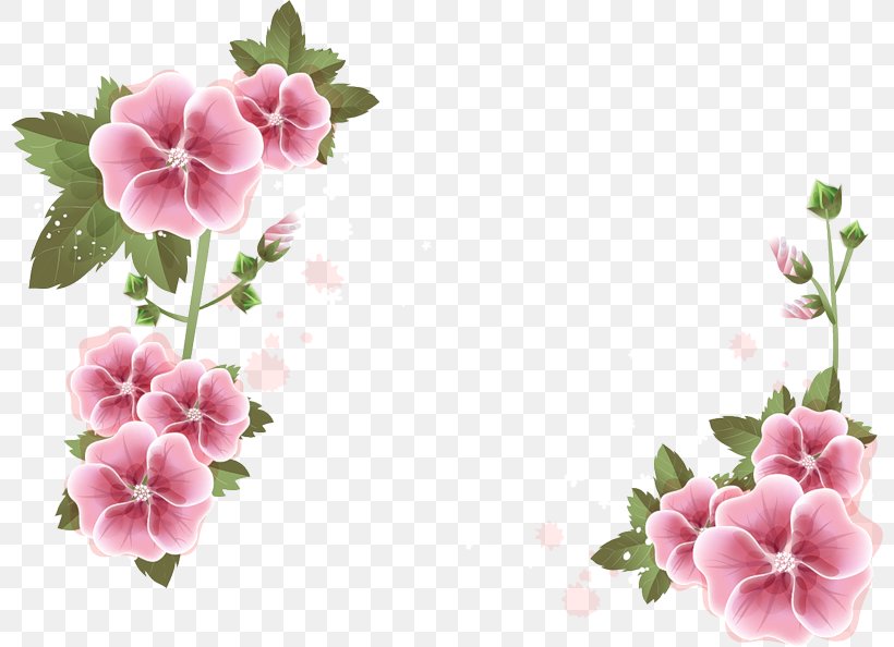 Picture Frames Desktop Wallpaper Flower, PNG, 800x594px, Picture Frames, Annual Plant, Blossom, Color, Cut Flowers Download Free