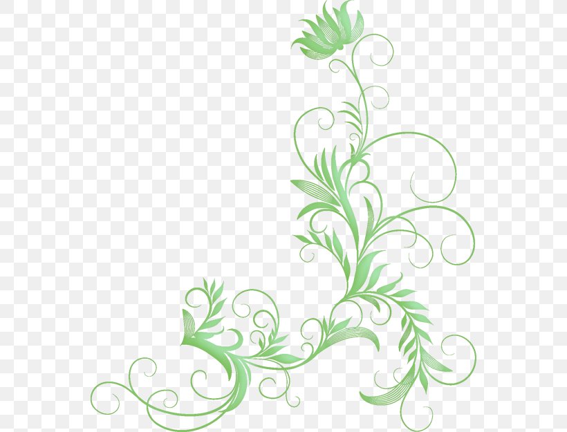 Floral Design Clip Art, PNG, 558x625px, Floral Design, Art, Artwork, Branch, Drawing Download Free