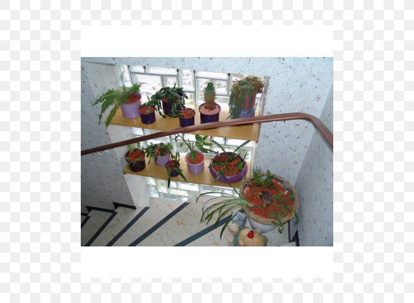 Flowerpot Furniture Houseplant Bedroom, PNG, 800x600px, Flowerpot, Aggregate, Bedroom, Ebay, Experience Download Free