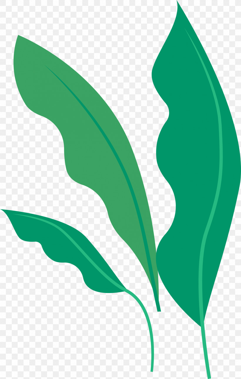 Leaf Green Plant Logo Plant Stem, PNG, 1912x3000px, Leaf, Flower, Green, Logo, Plant Download Free